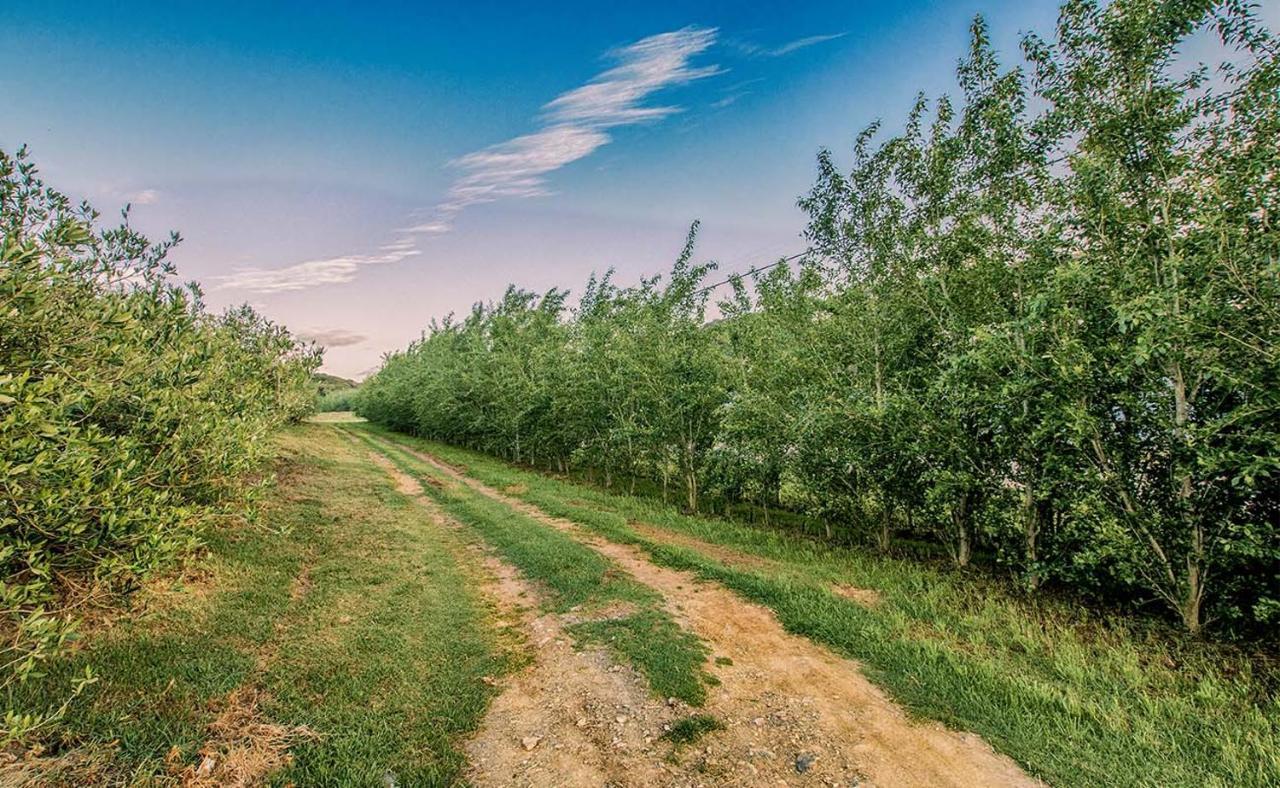 Oudewerfskloof Olive Farm Villa Stilbaai Dış mekan fotoğraf
