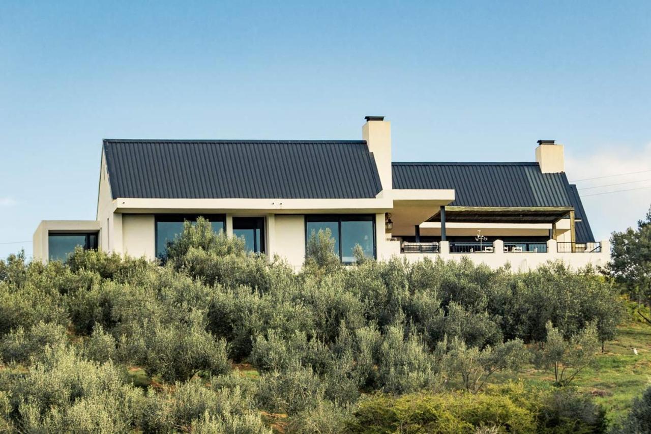Oudewerfskloof Olive Farm Villa Stilbaai Dış mekan fotoğraf