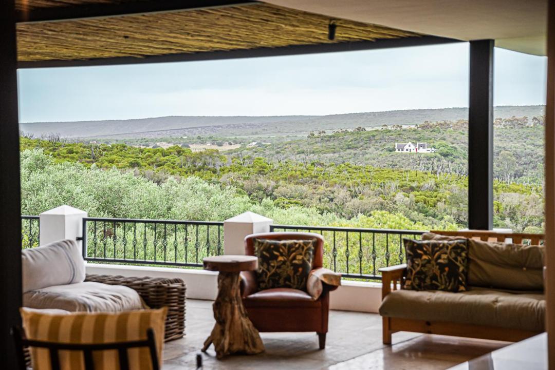 Oudewerfskloof Olive Farm Villa Stilbaai Dış mekan fotoğraf