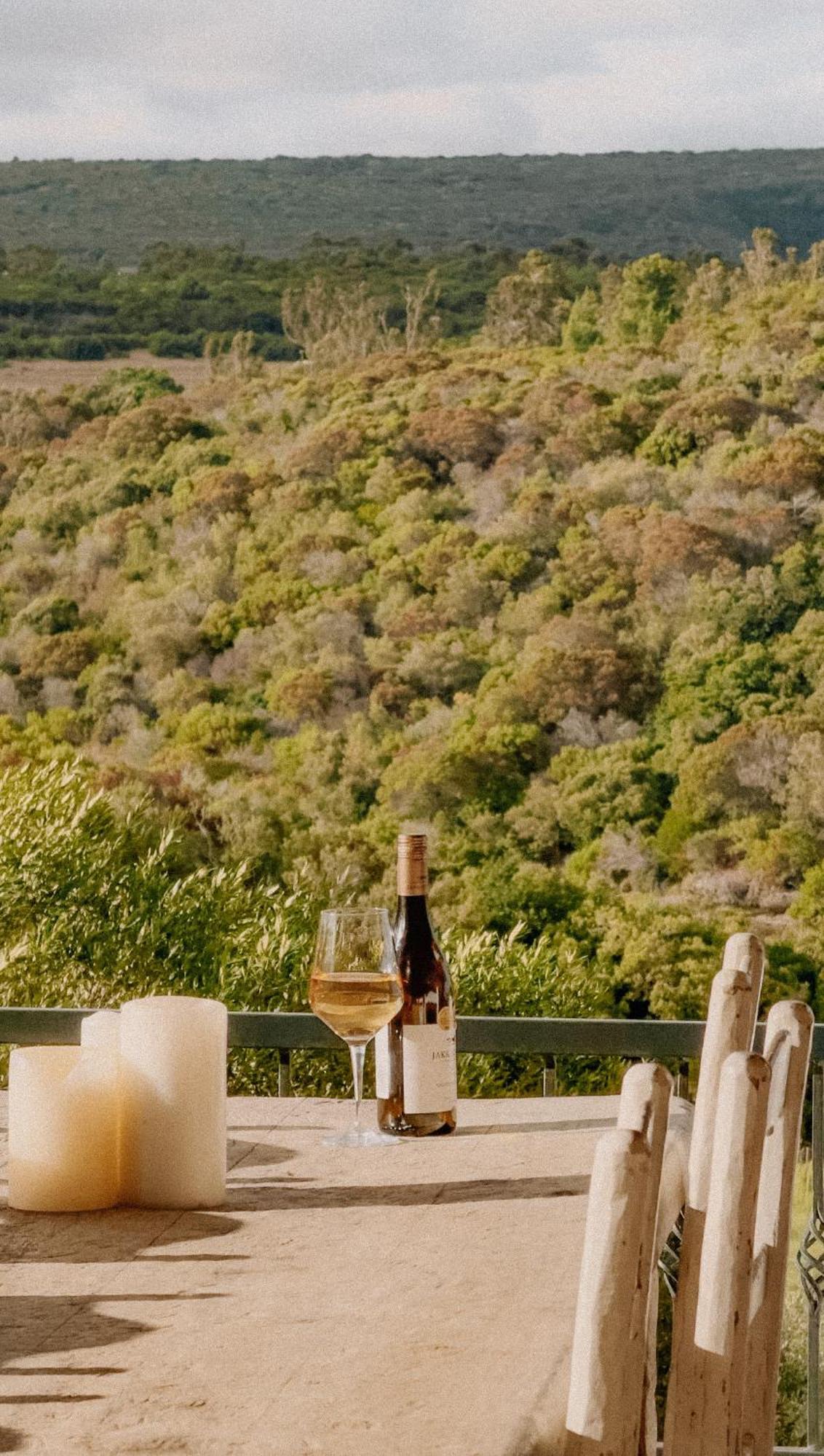 Oudewerfskloof Olive Farm Villa Stilbaai Dış mekan fotoğraf